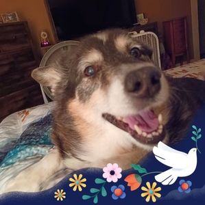 Meet your Posher, Markell